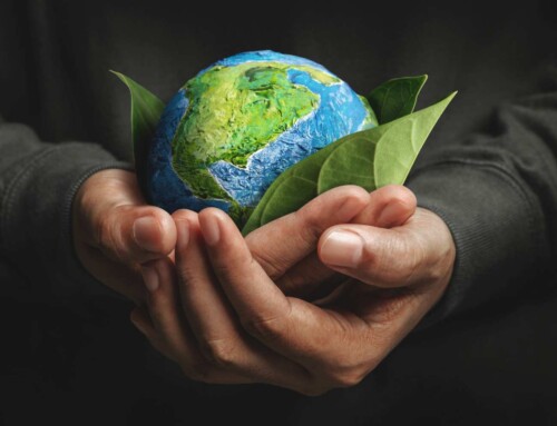 Impact of Document Digitization on Sustainability